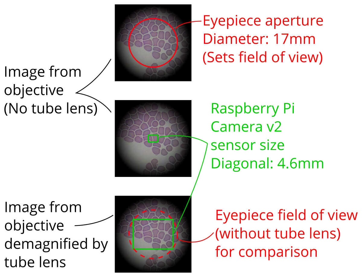 Magnification